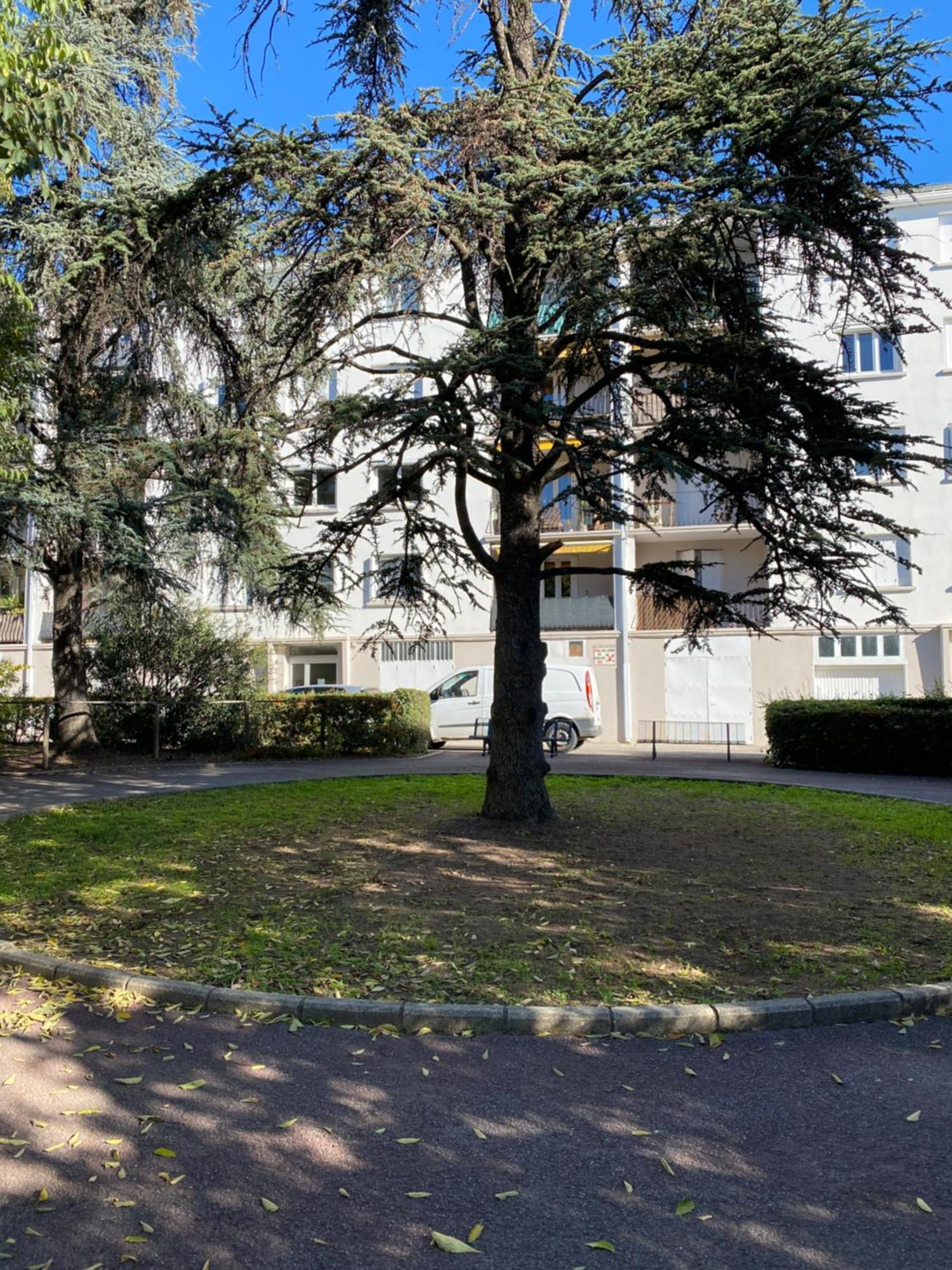 Appartement Rosaluz Montpellier Exterior foto